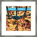 Autumn Leaves At The Gate Framed Print
