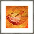 Autumn Leaves Design Framed Print