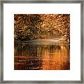 Autumn Light On Wilson's Creek Framed Print