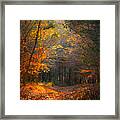 Autumn Path Framed Print