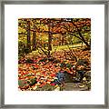 Autumn Pond In Lithia Park Framed Print