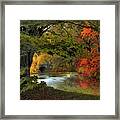 Autumn Reverie Framed Print