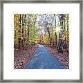 Autumn Road In New Jersey Framed Print