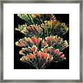 Autumn Sea Fan Framed Print