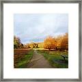 Autumn Seat Framed Print