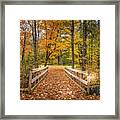 Autumn Splendor At Jay Cooke Framed Print