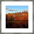 Autumn Splendour Framed Print