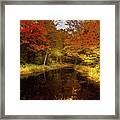 Autumn Stream Framed Print