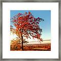 Autumn Sunshine Framed Print