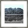 Autumn Trees Reflections Framed Print