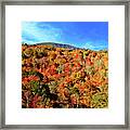 Autumn View Framed Print
