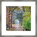 Autumn Walk Framed Print