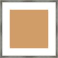 Autumn Warm Brown Solid Color Pairs Sherwin Williams Harvest Gold Sw 2858 Framed Print