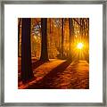 Autumn Woods Sunset Framed Print