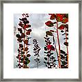 Autumnal No. 1 - Smoke Tree With Frontal Passage Sky Framed Print
