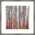 Autumnly Framed Print