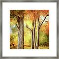 Autumn's Fleeting Glory Framed Print