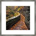 Autumn's Path Framed Print