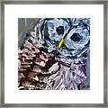 Baby Barred Owl Framed Print