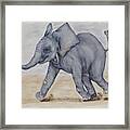 Baby Elephant Run Framed Print