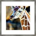 Baby Giraffe Profile At The Philadelphia Zoo Framed Print