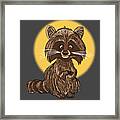 Baby Raccoon Framed Print