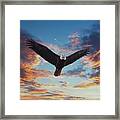 Bald Eagle Looking At Sunset Framed Print