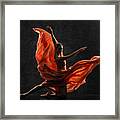 Ballerina. Silhouette Photo Of A Young  Ballet Dancer Dressed In A Long Peach Dress, Pointe Shoes With Ribbons. The Girl Performs An Graceful Dance Movement. Beautiful Classic Ballet. Ballet Studios. Framed Print
