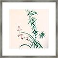 Bamboo And Orchid Framed Print