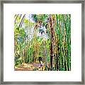 Bamboo  Forest #1 Framed Print