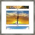 Bandon Dunes 5 Courses Framed Print