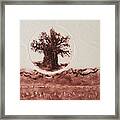 Baobab Hills Framed Print