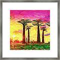 Baobab Sunset Framed Print