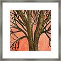 Bare Tree Sunset Framed Print