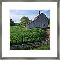 Barn And Corn Framed Print