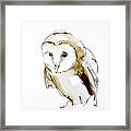 Barn Owl 1 Framed Print
