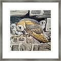 Barn Owl Family Framed Print