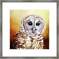 Barred Owl Portrait Framed Print