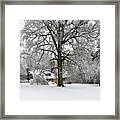 Batsford Arboretum Oak Tree In The Snow Framed Print