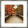 Autumn Woodland Overpass Framed Print