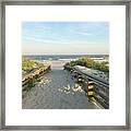 Beach Access Framed Print