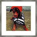 Beach Dog Framed Print