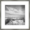 Beach Fences On The Sand Dunes Black And White In Square Framed Print