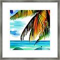 Beach Palm Framed Print