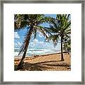 Beach Waves And Palm Trees, Pinones, Puerto Rico Framed Print