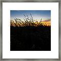 Beachgrass Sunset Framed Print