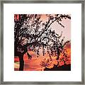 Beautiful Evening In Spain Framed Print