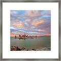 Beautiful Mono Framed Print