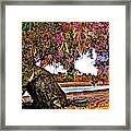 Beautiful Old Gum Takes A Rest By The Billabong Framed Print