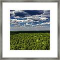 Beautiful Pine Barrens Landscape Framed Print